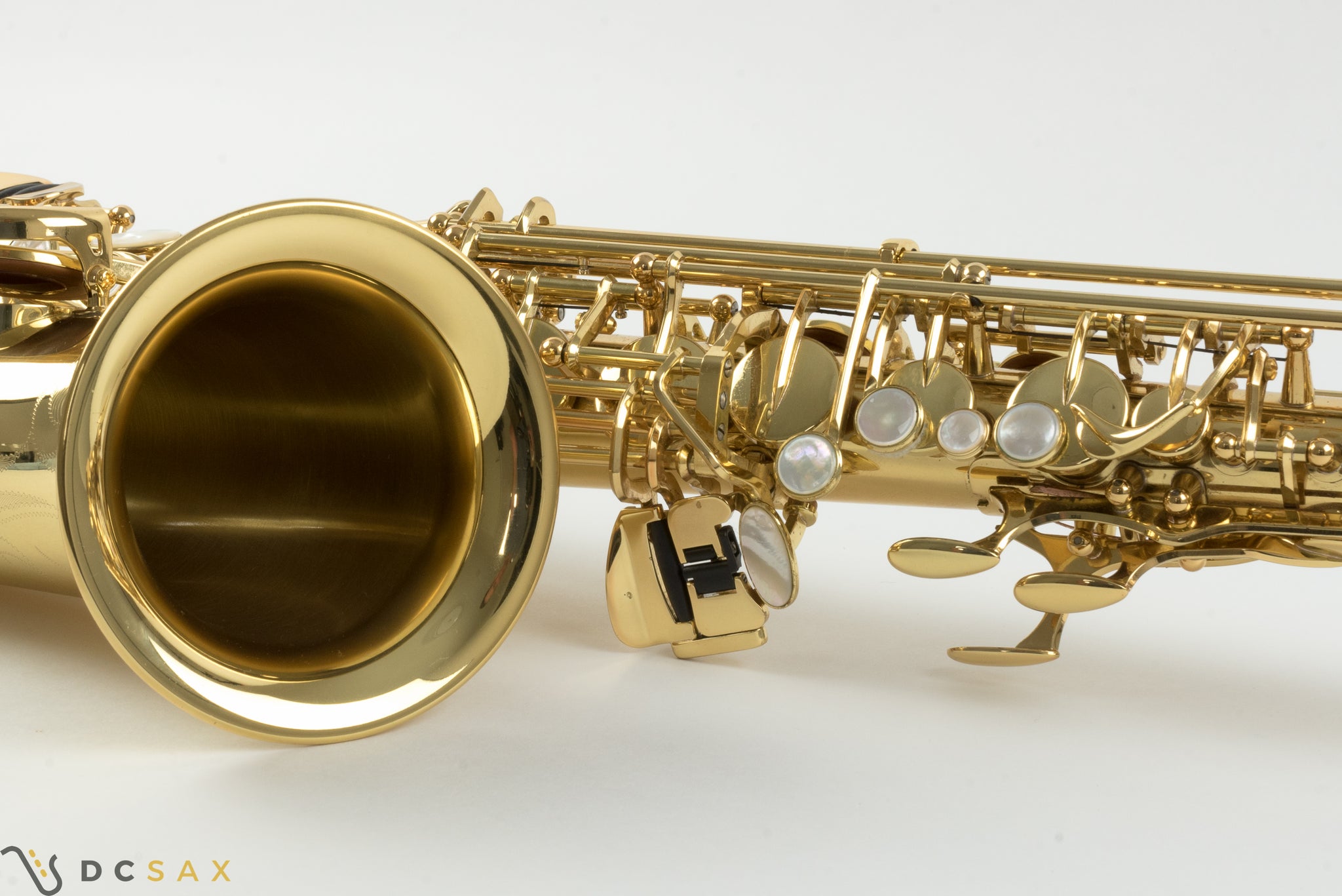 Yanagisawa WO10 Alto Saxohpone, Near Mint