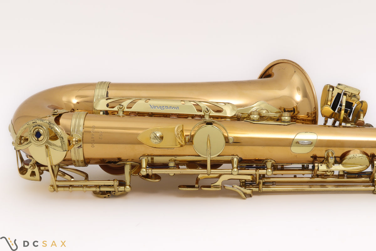 Yanagisawa A-992 Bronze Alto Saxophone, Just Serviced, Video